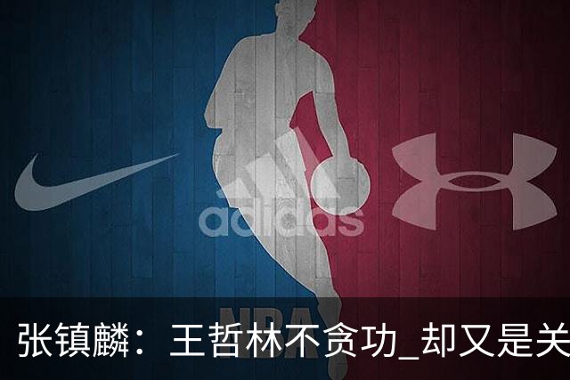 张镇麟：王哲林不贪功 却又是关键时刻能站出来的人 队长当之无愧